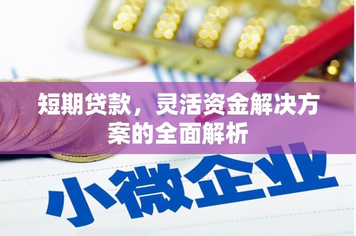 凤庆短期贷款，灵活资金解决方案的全面解析