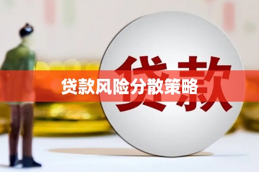 凤庆贷款风险分散策略