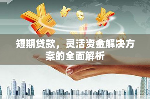 凤庆短期贷款，灵活资金解决方案的全面解析