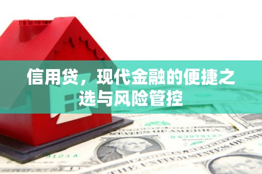 凤庆信用贷，现代金融的便捷之选与风险管控