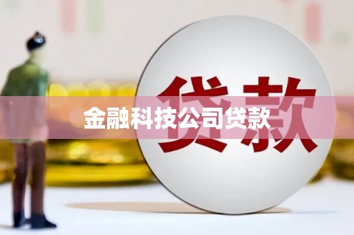 凤庆金融科技公司贷款