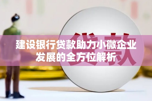 凤庆建设银行贷款助力小微企业发展的全方位解析