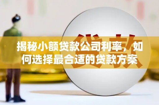 凤庆揭秘小额贷款公司利率，如何选择最合适的贷款方案