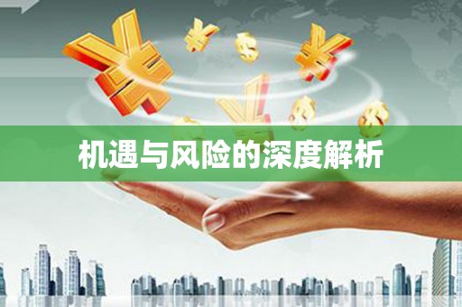 凤庆机遇与风险的深度解析