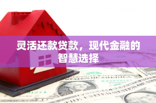 凤庆灵活还款贷款，现代金融的智慧选择