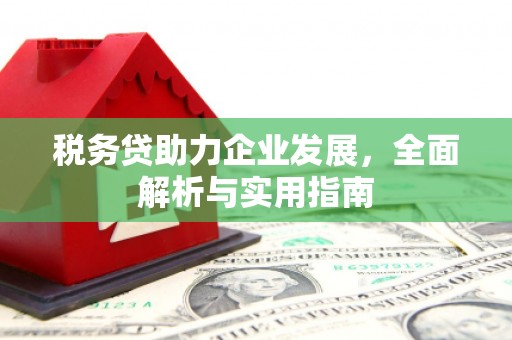 凤庆税务贷助力企业发展，全面解析与实用指南