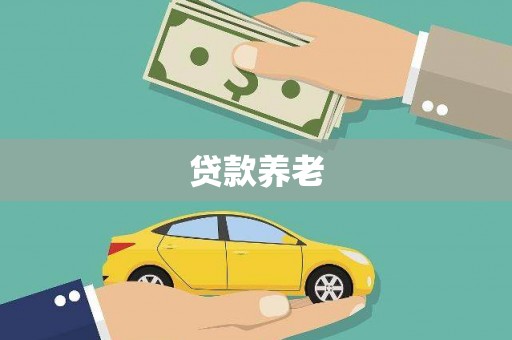凤庆贷款养老