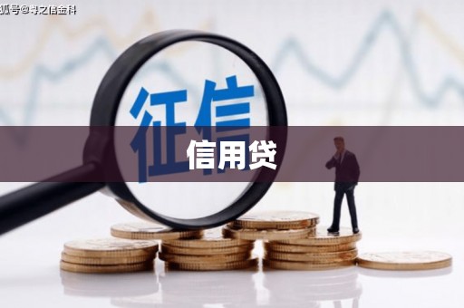 凤庆信用贷
