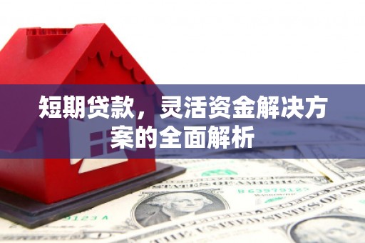 凤庆短期贷款，灵活资金解决方案的全面解析