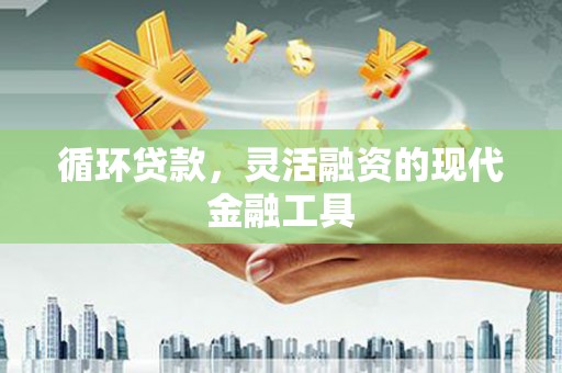 凤庆循环贷款，灵活融资的现代金融工具
