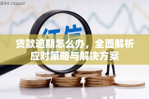 凤庆贷款逾期怎么办，全面解析应对策略与解决方案