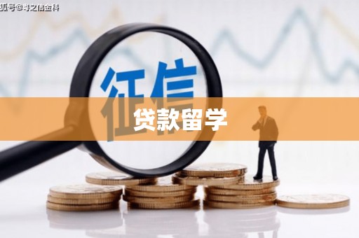 凤庆贷款留学