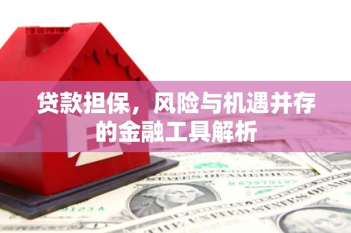 凤庆贷款担保，风险与机遇并存的金融工具解析