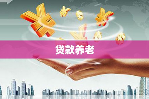 凤庆贷款养老