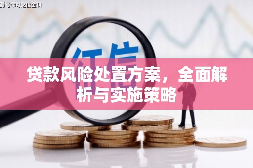凤庆贷款风险处置方案，全面解析与实施策略